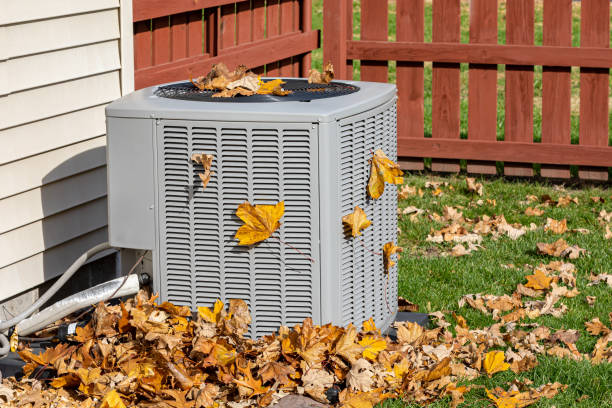 Best Ductless Mini-Split Systems in Elgin, MN